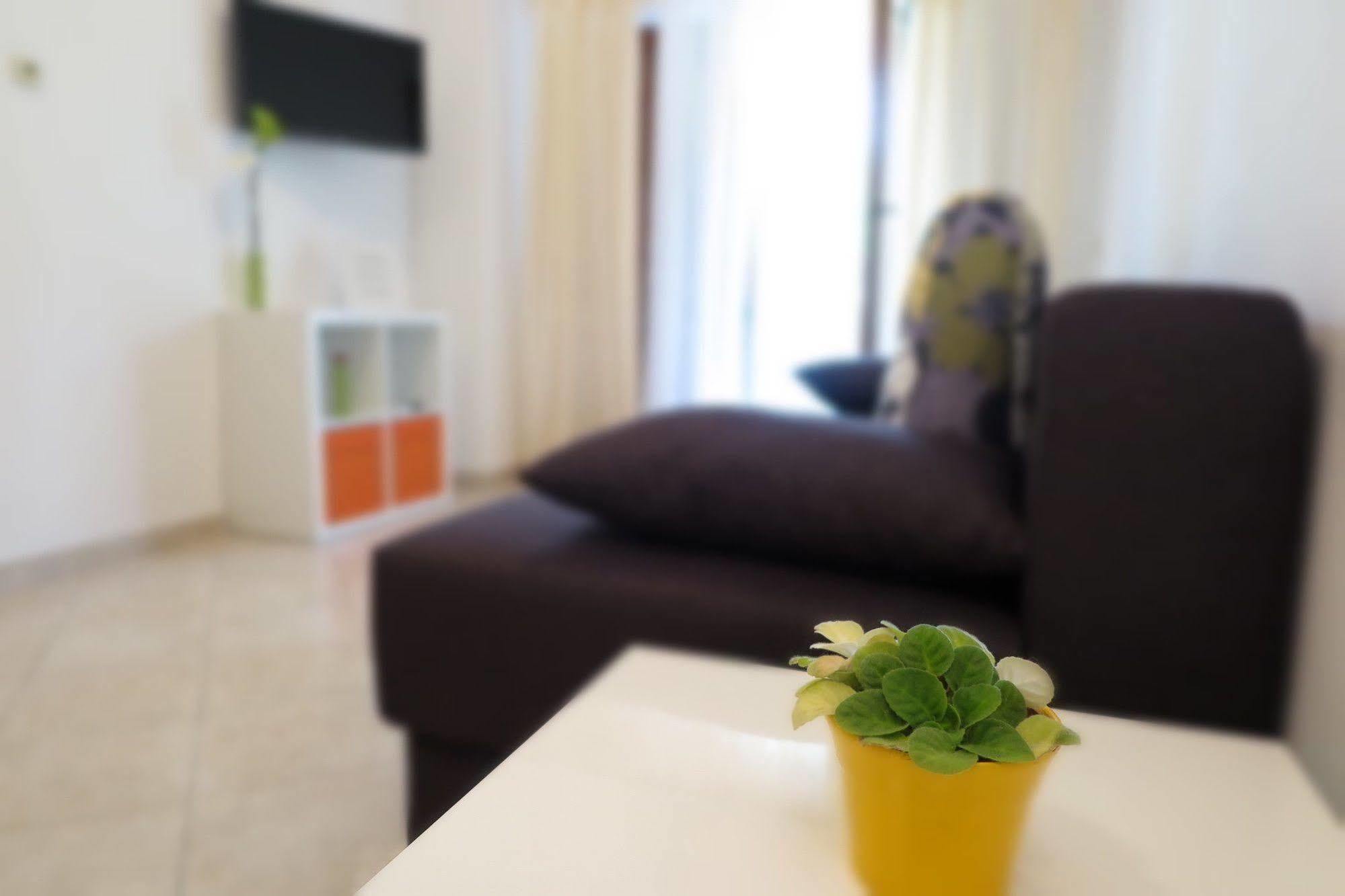 Vanda Rovinj